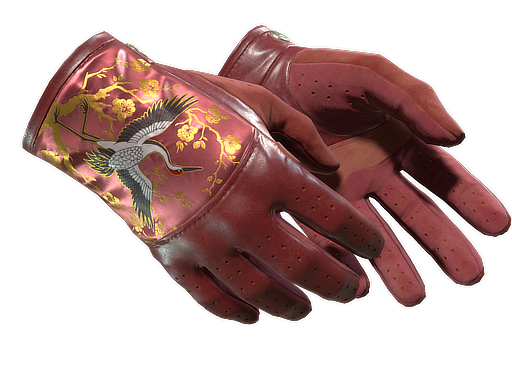 ★ Driver Gloves