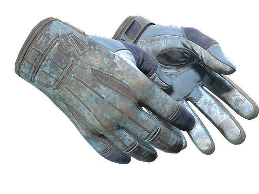 ★ Sport Gloves